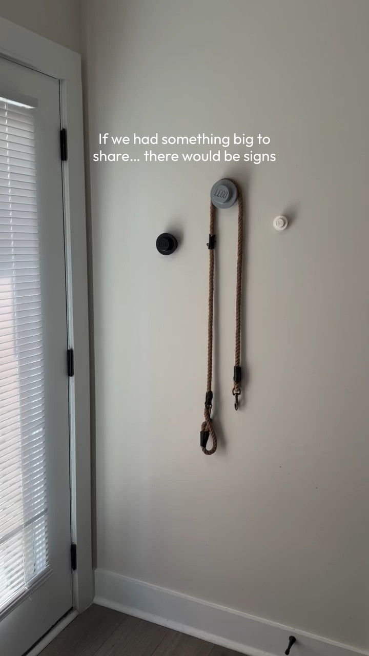 if we had something big to share… there would be signs

…like accidentally owning two of everything now

Ash is almost home… hallelujah 🐾

also crying over this from @crownandpaw 🥹
code MAGGIE63122 gets you 20% off if you’re about to spiral and order one too

dog mom life | new puppy | cozy home finds | pet lovers | home decor