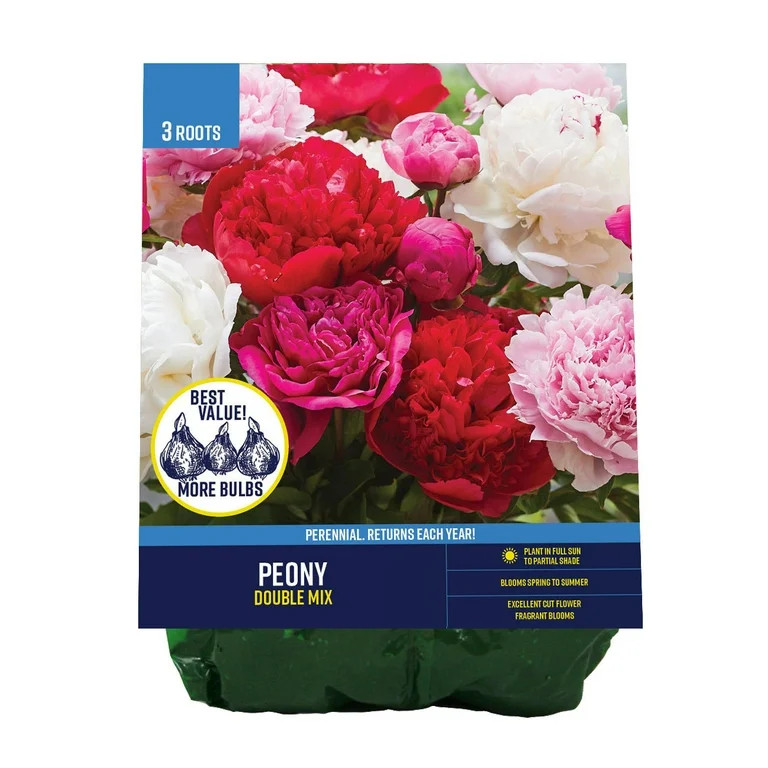 Van Zyverden Peony Double Mixed (Set of 3 Dormant Bare Roots) Partial Sun, Multi-Color, Perennial | Walmart (US)