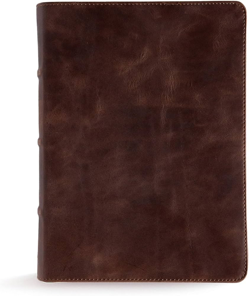 CSB Study Bible, Brown Genuine Leather, Indexed, Red Letter, Study Notes and Commentary, Illustra... | Amazon (US)