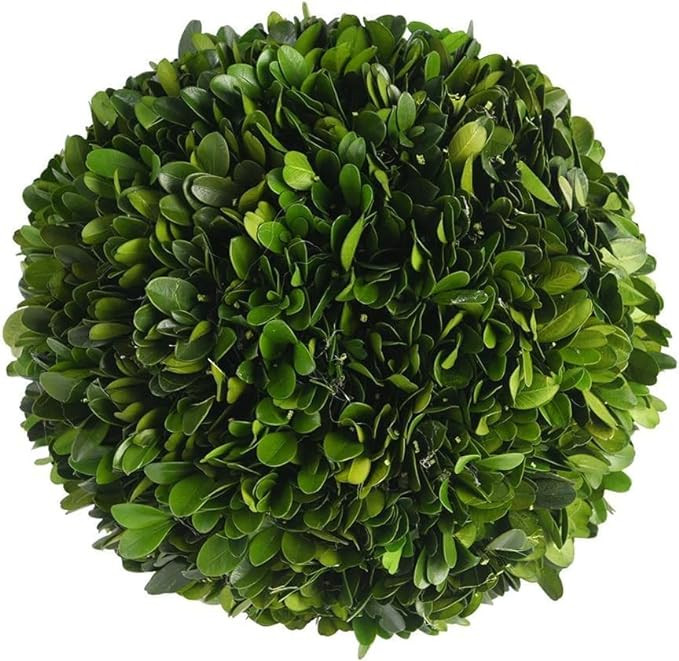 Decorative Boxwood Balls for Bowls and Decorative Balls for Centerpiece Bowl Fillers Vase Fillers... | Amazon (US)