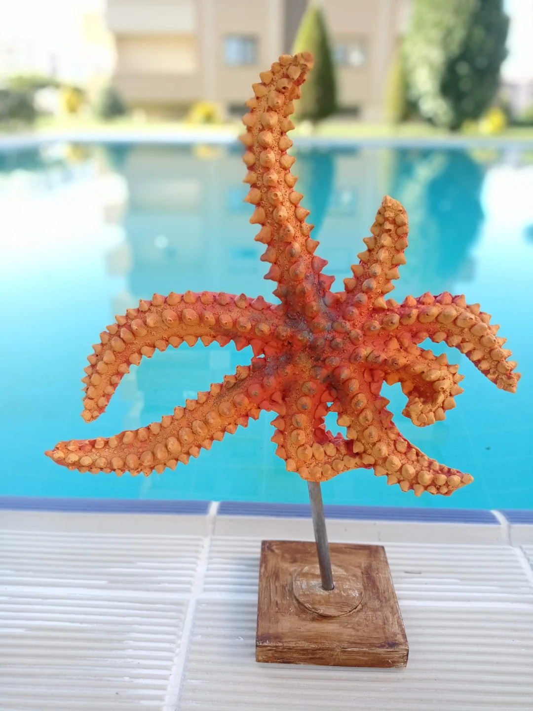 Sea Star Statue, Sea Star Object, Sea Star Figurine, Sea Product Object, Pedestal Sea Star, Coral... | Etsy (US)