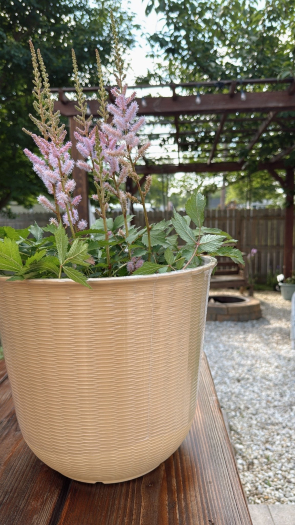 Prettiest color planter in all the world 

#LTKSaleAlert #LTKSeasonal #LTKHome