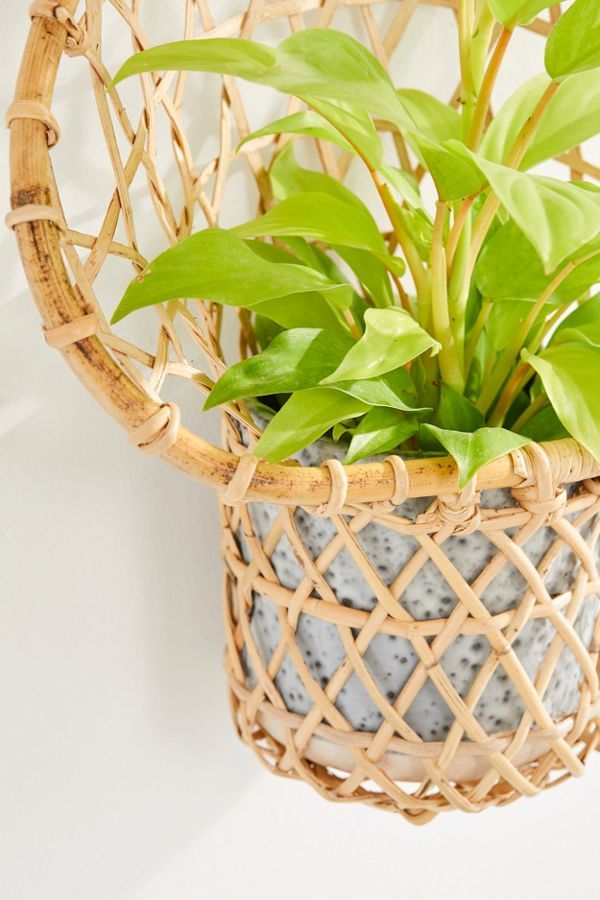 Ryland Planter Wall Basket | Urban Outfitters (US and RoW)