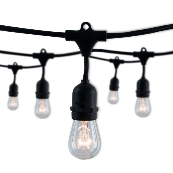 Kantrell 48-ft Outdoor 15 - Bulb Standard String Light (End to End Connectable) | Wayfair North America