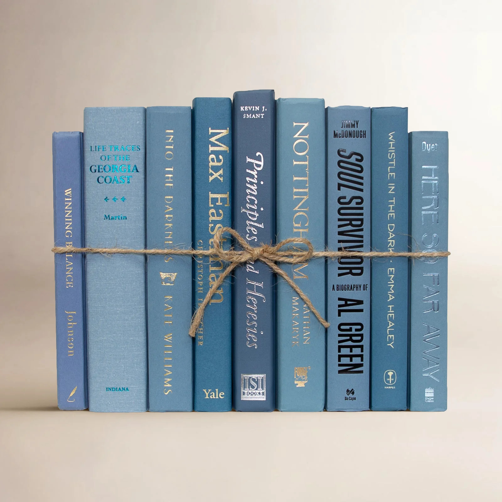 Amora Marlin Decorative Object | Birch Lane