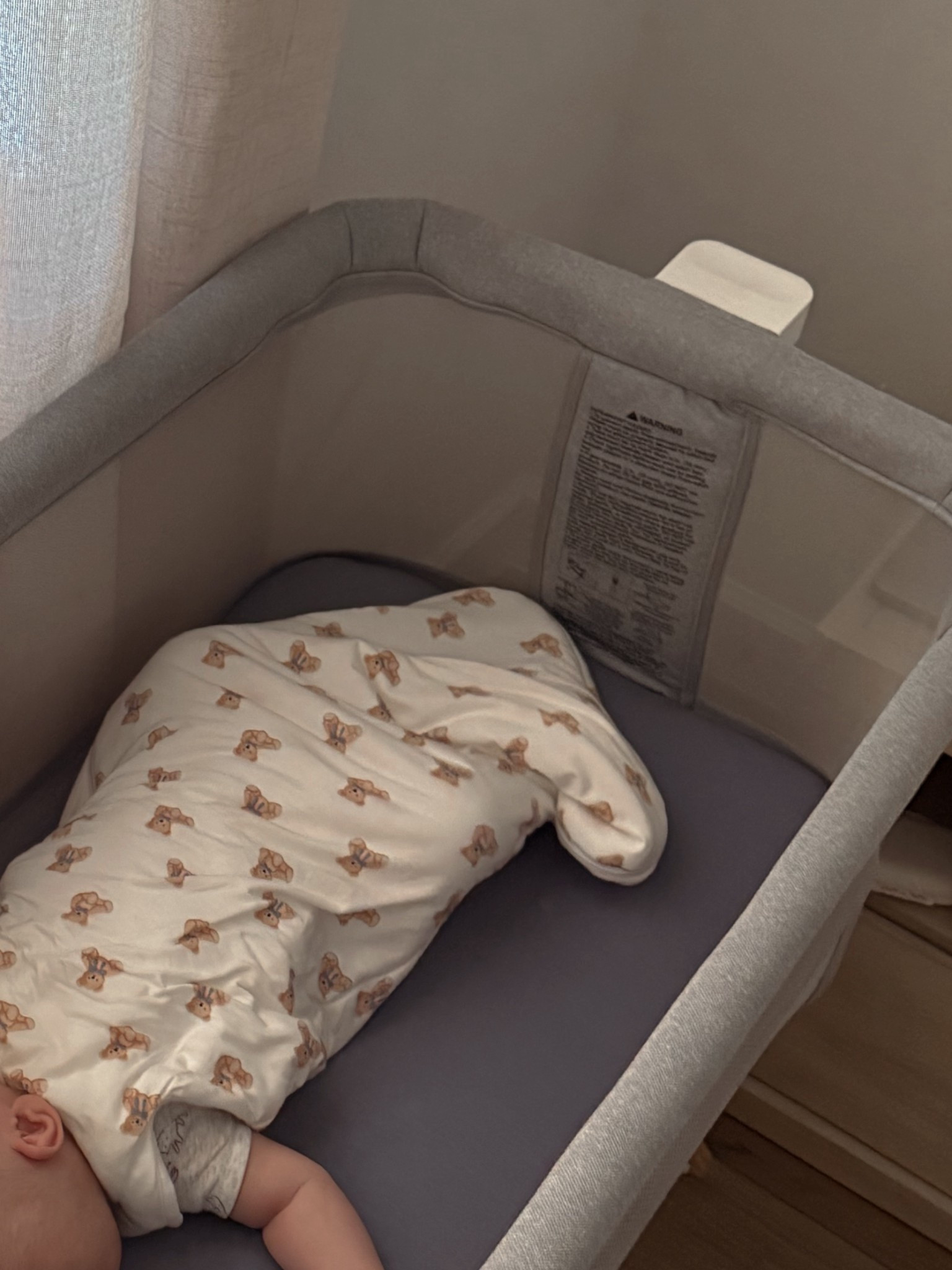 This sleep sac and bassinet have been a huge must have for us 🤍🧸

#LTKBaby #LTKmomlife #LTKdayinmylife
