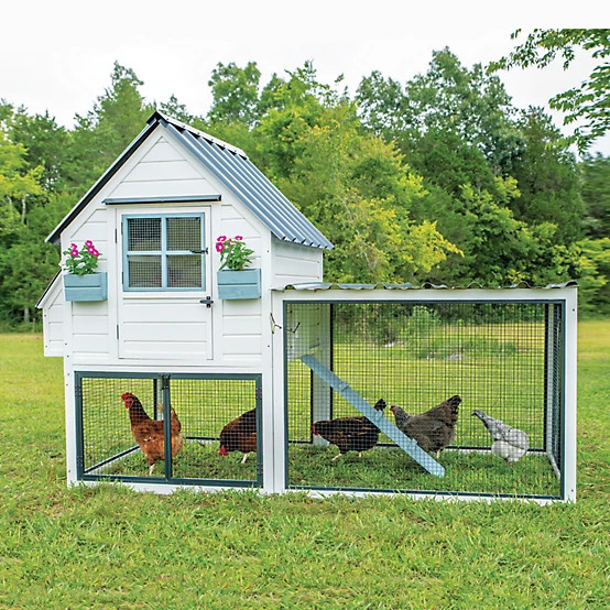 Producer's Pride  Villa Chicken Coop, 12 Chicken Capacity | Tractor Supply