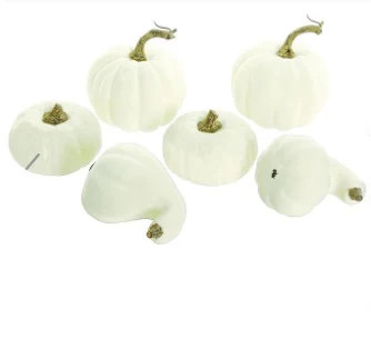 8" Mixed Pumpkin and Gourd | The Nested Fig