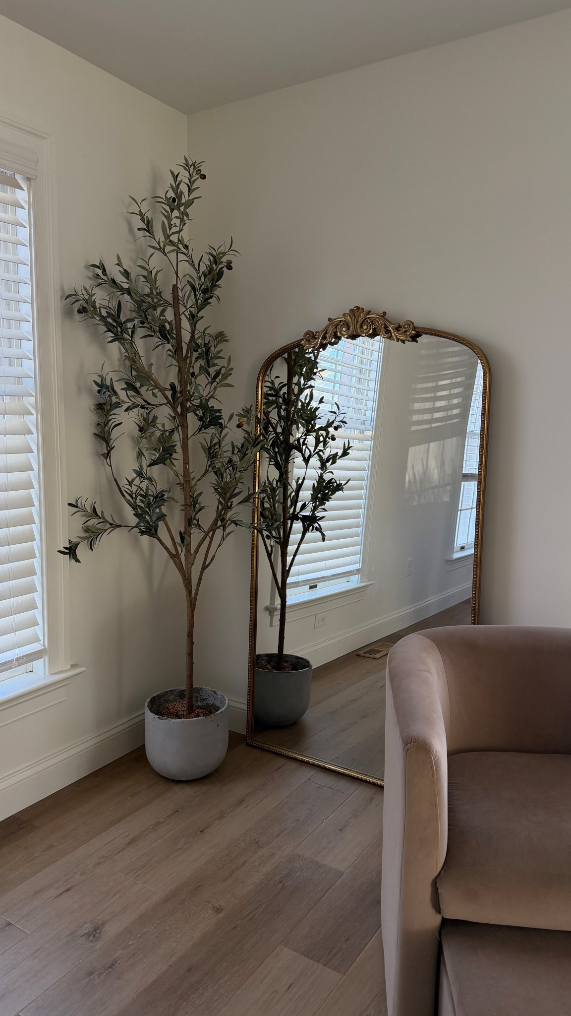 Olive tree now just $39! 

#LTKSaleAlert #LTKHome #LTKSeasonal