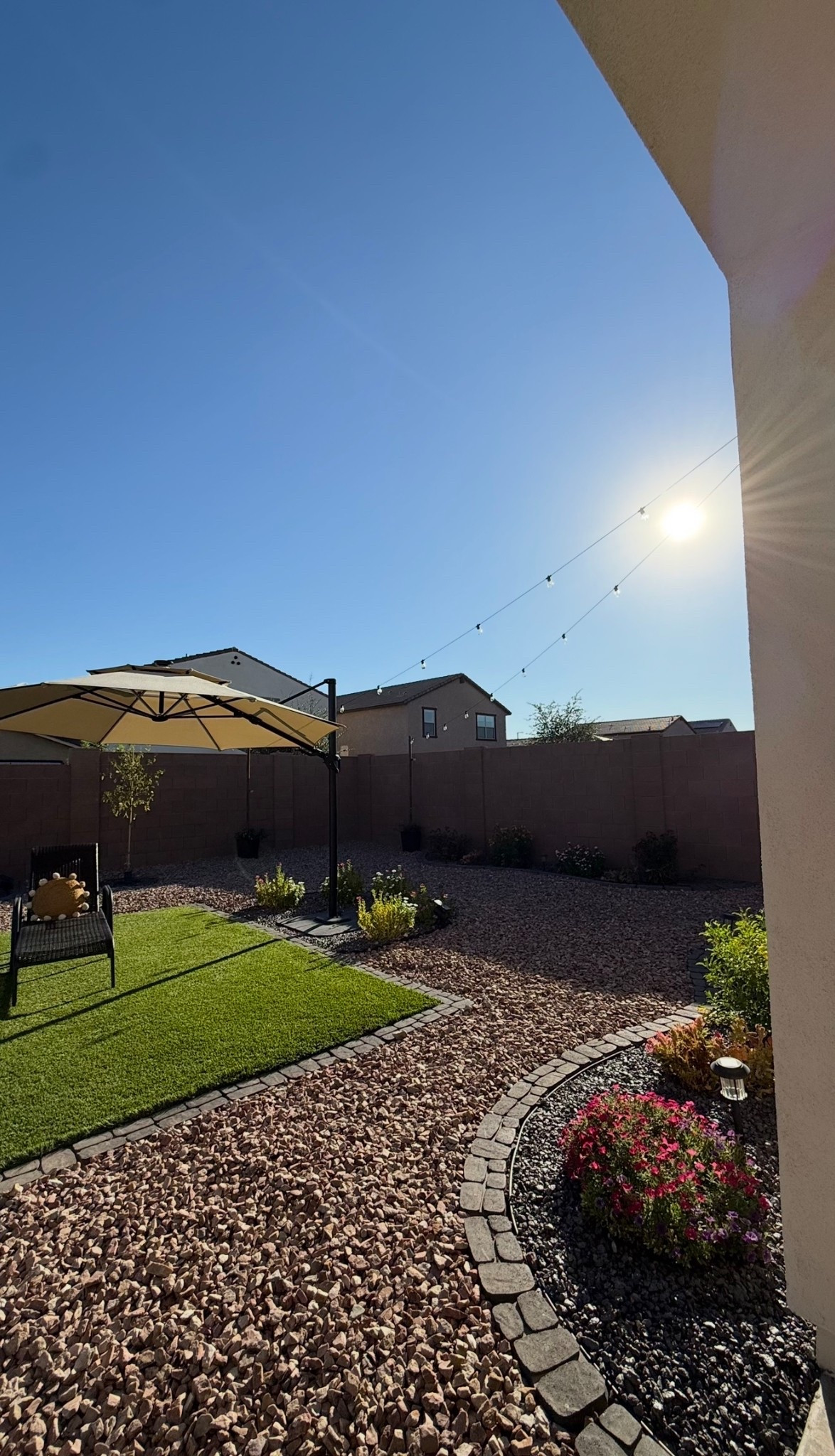 Proof you don’t need big $$$ to hire pros — you just need some imagination, patience & the right tools. Linked everything here for you! 🌴 