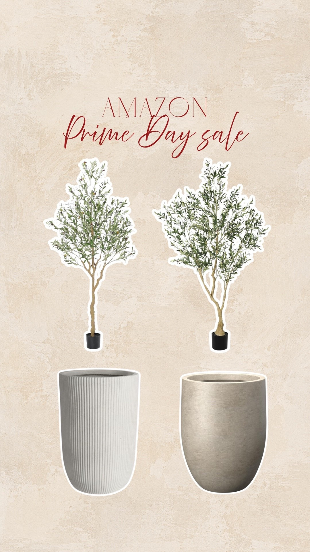Amazon prime day sale |olive tree and planters|