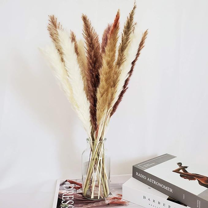 Natural Dried Pampas Grass 30 Stems -20" in Length- White Pampas 15 Pcs & Brown Pampas 15 Pcs for... | Amazon (US)
