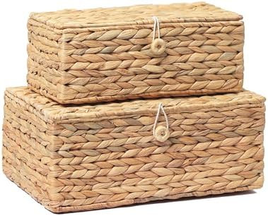 Set of 2 Rectangular Wicker Storage Bins with Lid, Rattan Basket Decorative Boxes, Multipurpose O... | Amazon (US)
