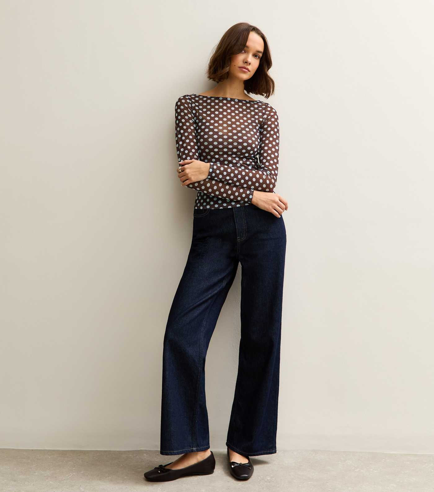 Brown Polka Dot Long Sleeve Slash Neck Sheer Top | New Look | New Look (UK)