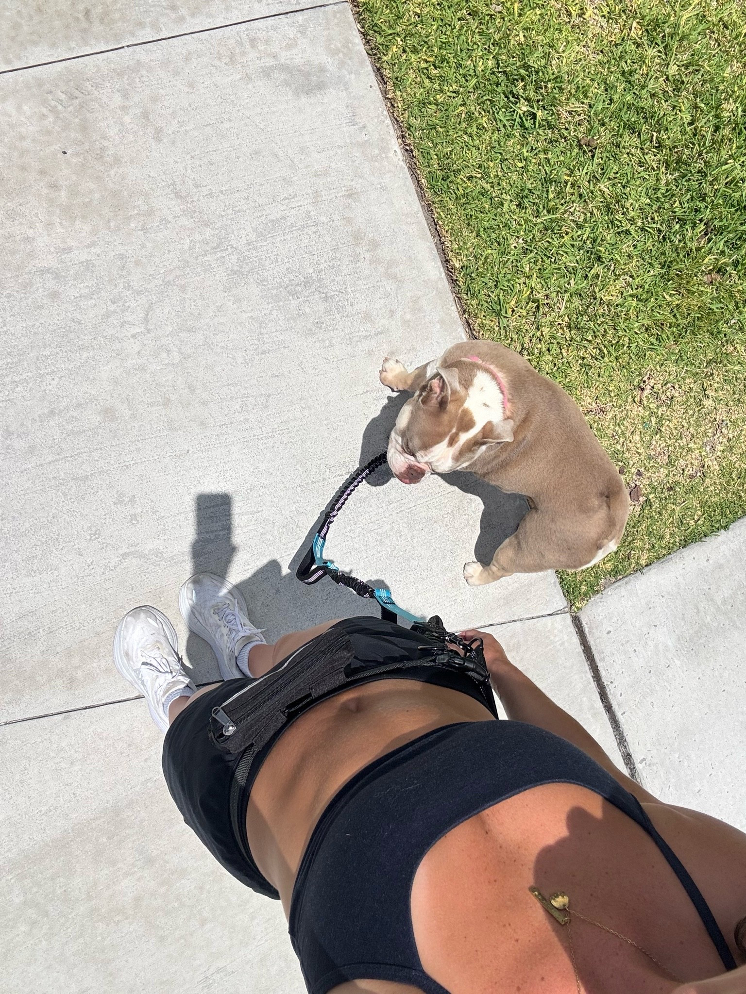 Hands free dog leash !!

#LTKfitnessgoals #LTKU #LTKdayinmylife