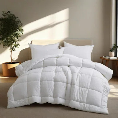 Cleves Wayfair Sleep All Season Down Alternative Comforter | Wayfair North America