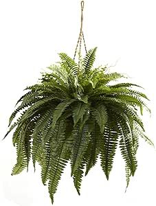 Nearly Natural 6788 Double Giant Boston Fern Hanging Basket,Green | Amazon (US)