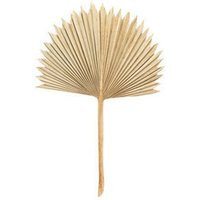 12 Dried Sun Palm Leaf - 14 | Etsy (US)