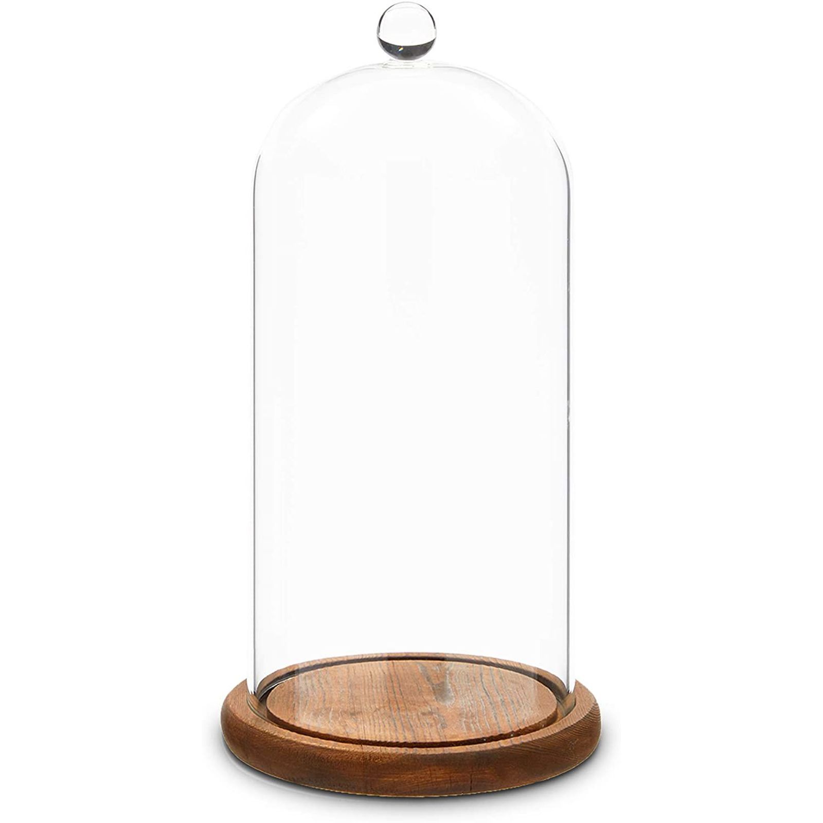 10" Clear Glass Cloche Dome with Wooden Base, Bell Jar Display Case for Eternal Flower, Plants, C... | Walmart (US)
