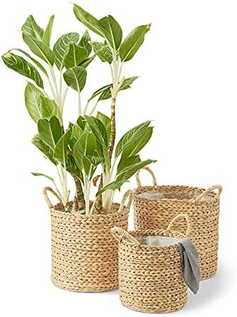 Amazon.com : Artera Large Wicker Storage Basket - Set of 3, Woven Water Hyacinth Plant Baskets wi... | Amazon (US)