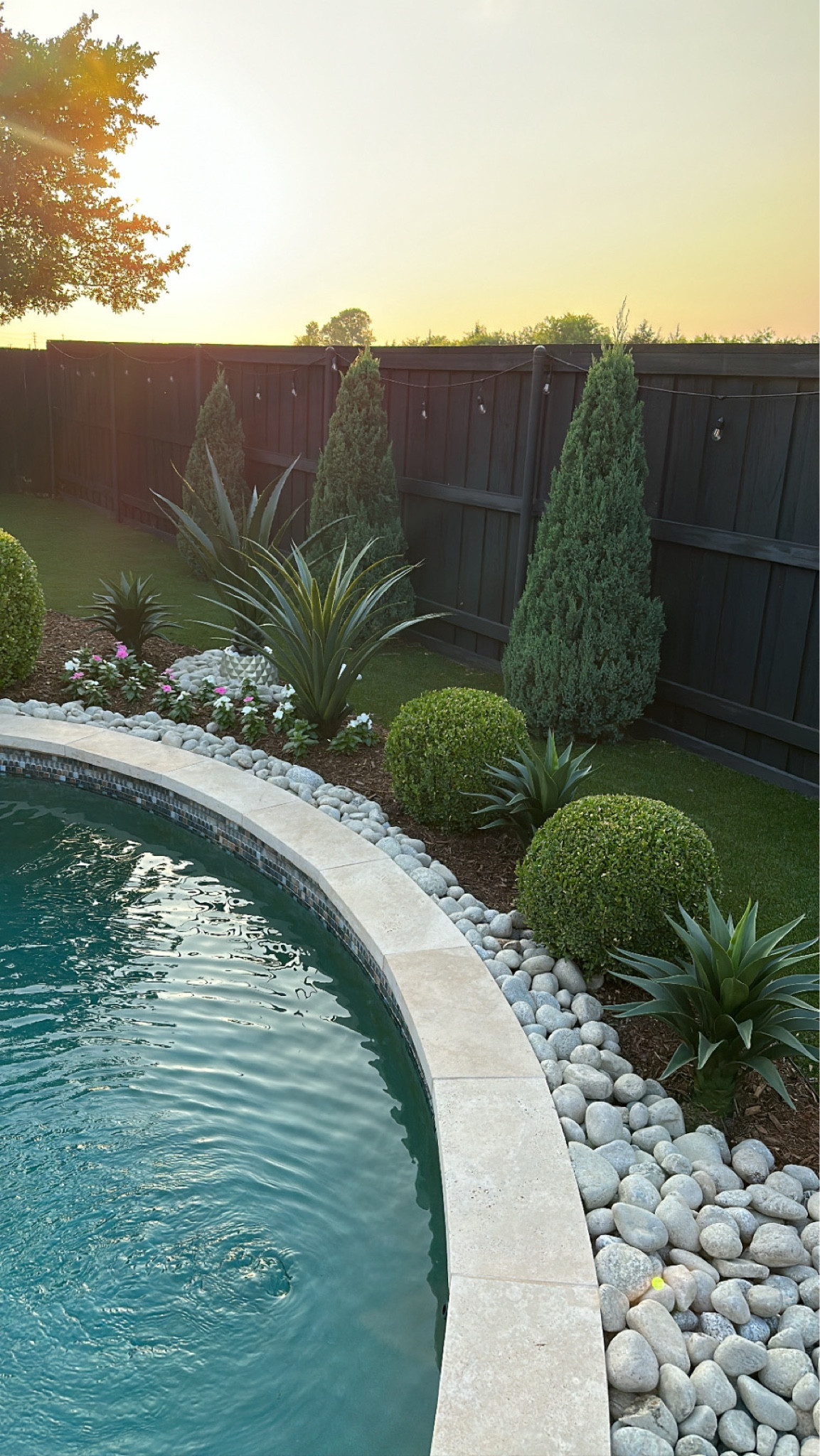 Backyard faux plants! All so beautiful!

#LTKSeasonal #LTKFind #LTKhome