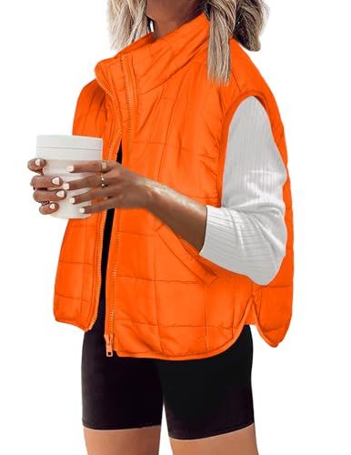 Zeagoo Womens Puffer Vest Ladies Sleeveless Zip Up Outerwear Warm Puffer Lightweight Down all Win... | Amazon (US)