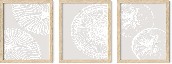 Summit Designs Seashell Wall Art Set of 3-8x10 inch Neutral Beige Coastal Prints - Beach Shell Ph... | Amazon (US)