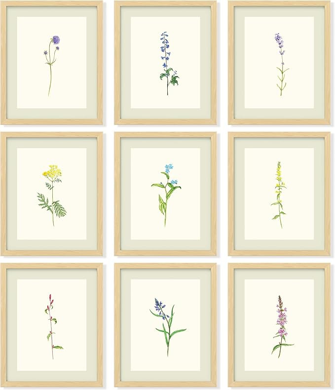 97 Decor Vintage Botanical Wall Art - Antique Botanical Prints, Rustic Floral Wall Art, Flower Ar... | Amazon (US)