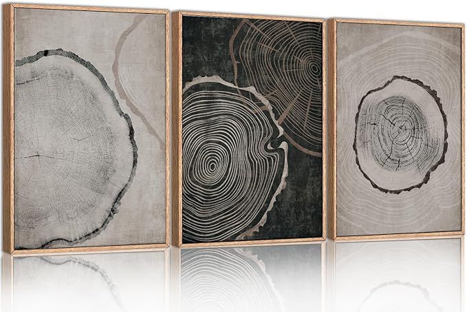 Tree Ring Framed Canvas Wall Art Set of 3, Modern Beige Wood Stump Wall Decor, Black and Gray Tre... | Amazon (US)