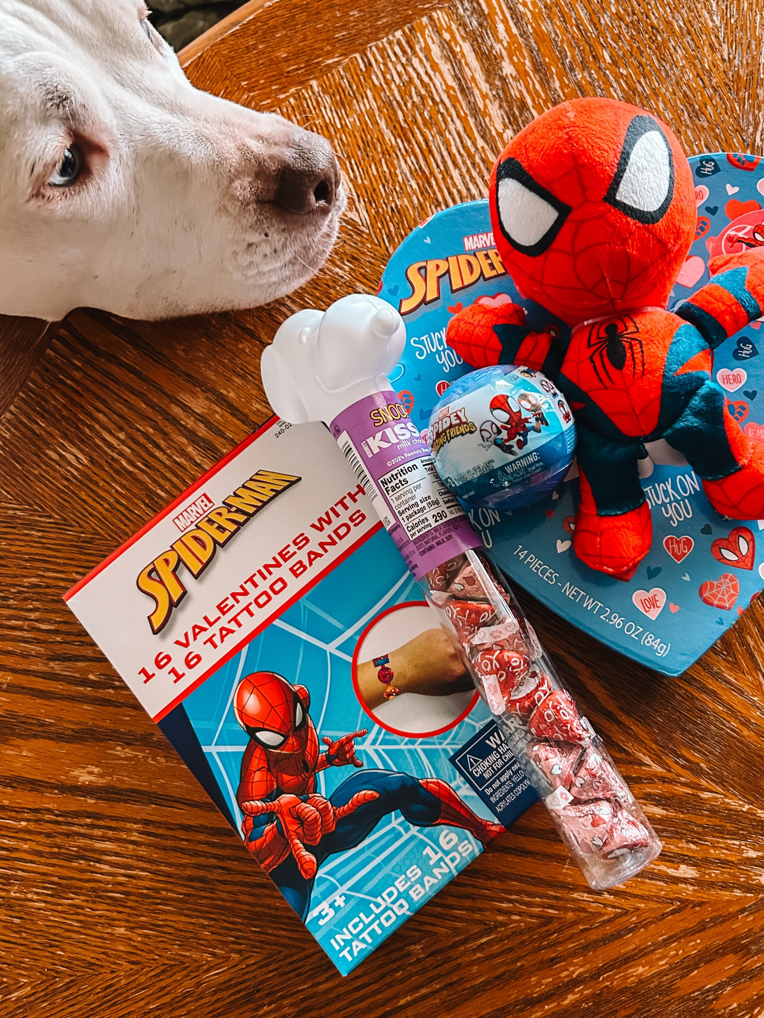 Piglet very curious where her Valentines gifts are! We are super into Spider-Man these days so I had to dig around for Spider-Man Valentines gifts and candy for my 3 year old toddler boy! Snagged these from Target!



#LTKGiftGuide #LTKKids #LTKFamily