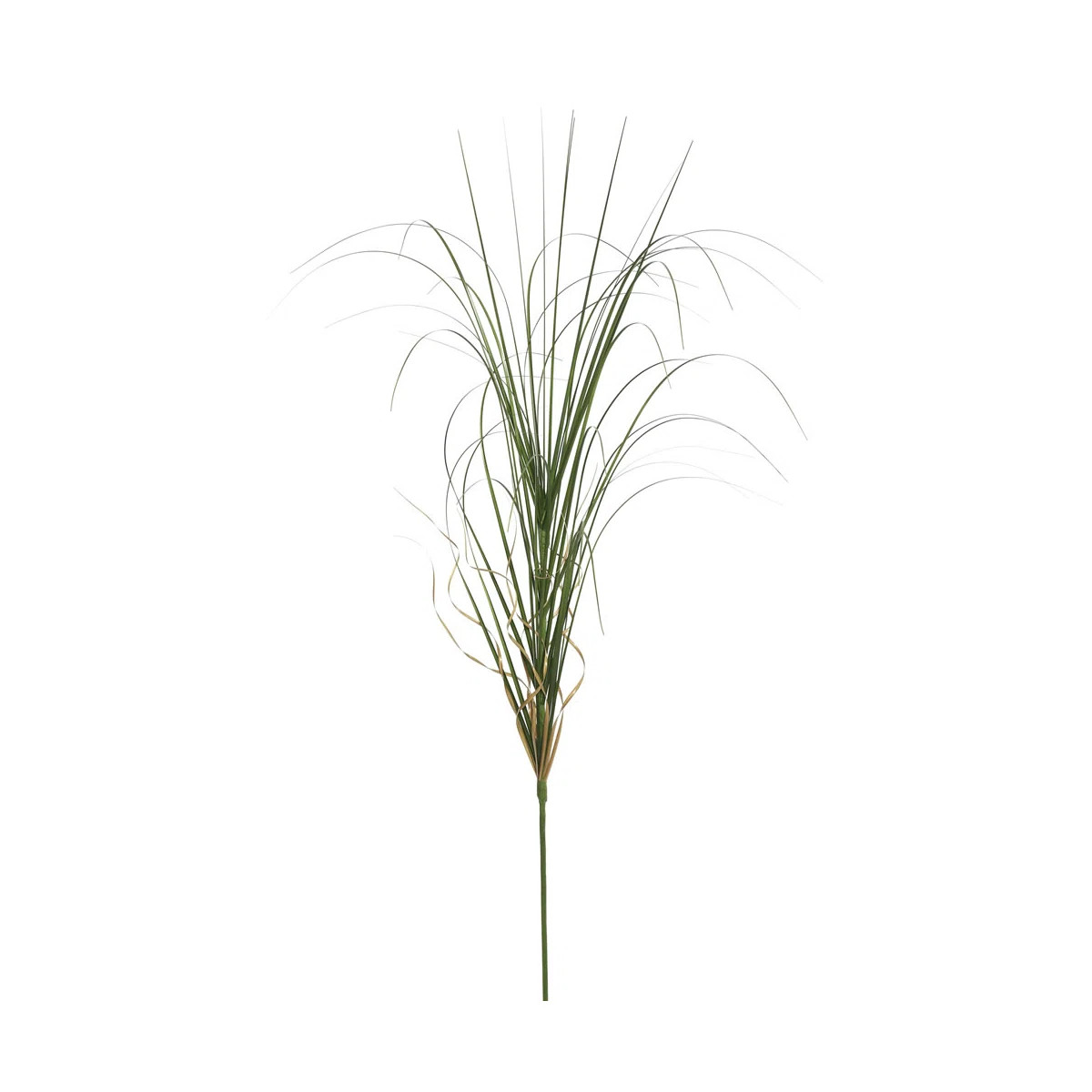 Wegman 6 Piece Curled Agave Grass | Wayfair North America