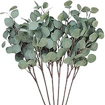 Seanmi Artificial Eucalyptus Leaves, 6 Pcs Faux Dried Silver Dollar Eucalyptus Garland Branches Stem | Amazon (US)