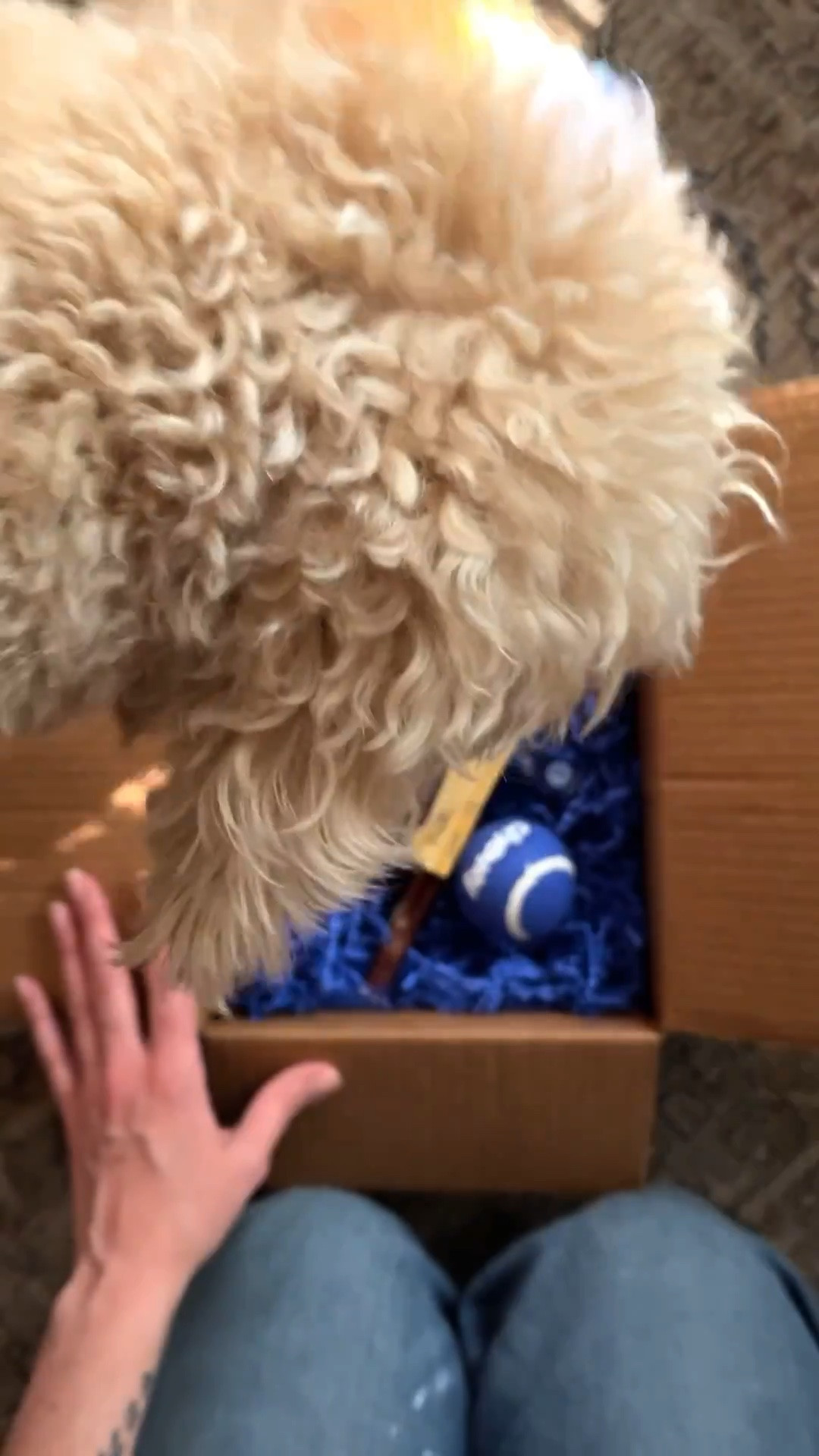 Unboxing a few of Opie’s favorites thanks to @Chewy 

Opie loves these treats, tennis ball, and dog chew!

#LTKOver40 #LTKHome