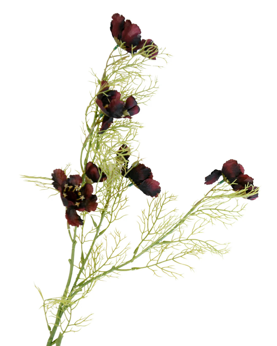 Twilight Cosmos | Elements by Remedy