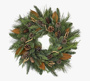Fresh Pinecone, Magnolia &amp; Canella Berry Wreath - 22&quot; | Pottery Barn (US)