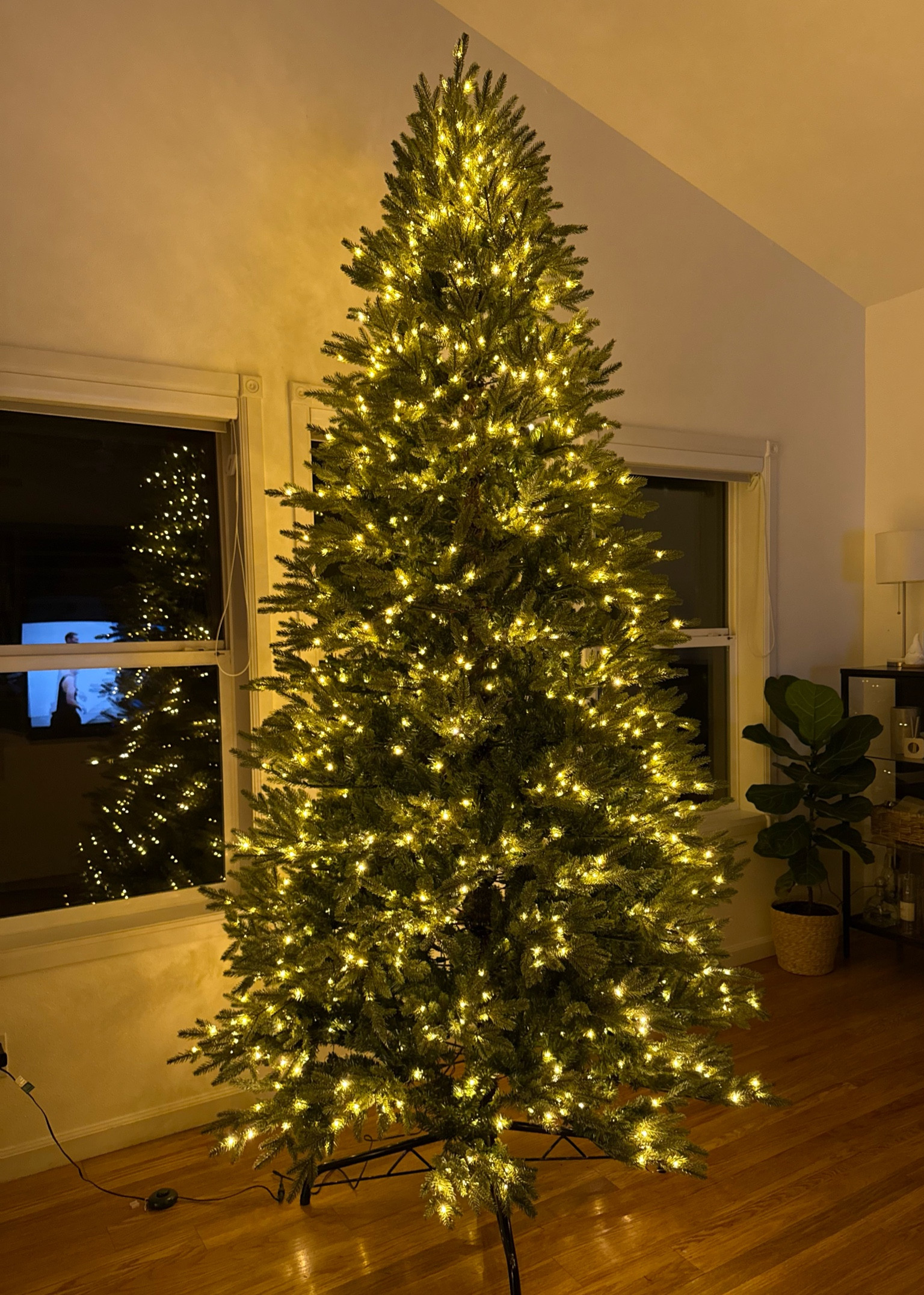 Our Christmas tree!

#LTKSeasonal #LTKHoliday #LTKGiftGuide
