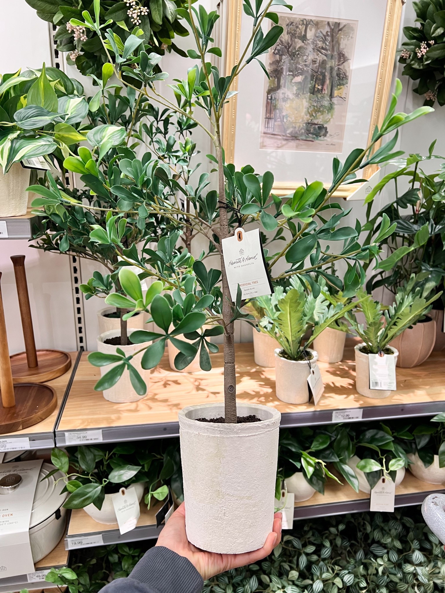 Mini black olive tree

Target finds, Target home, home decor, artificial tree, greenery 

#LTKHome
