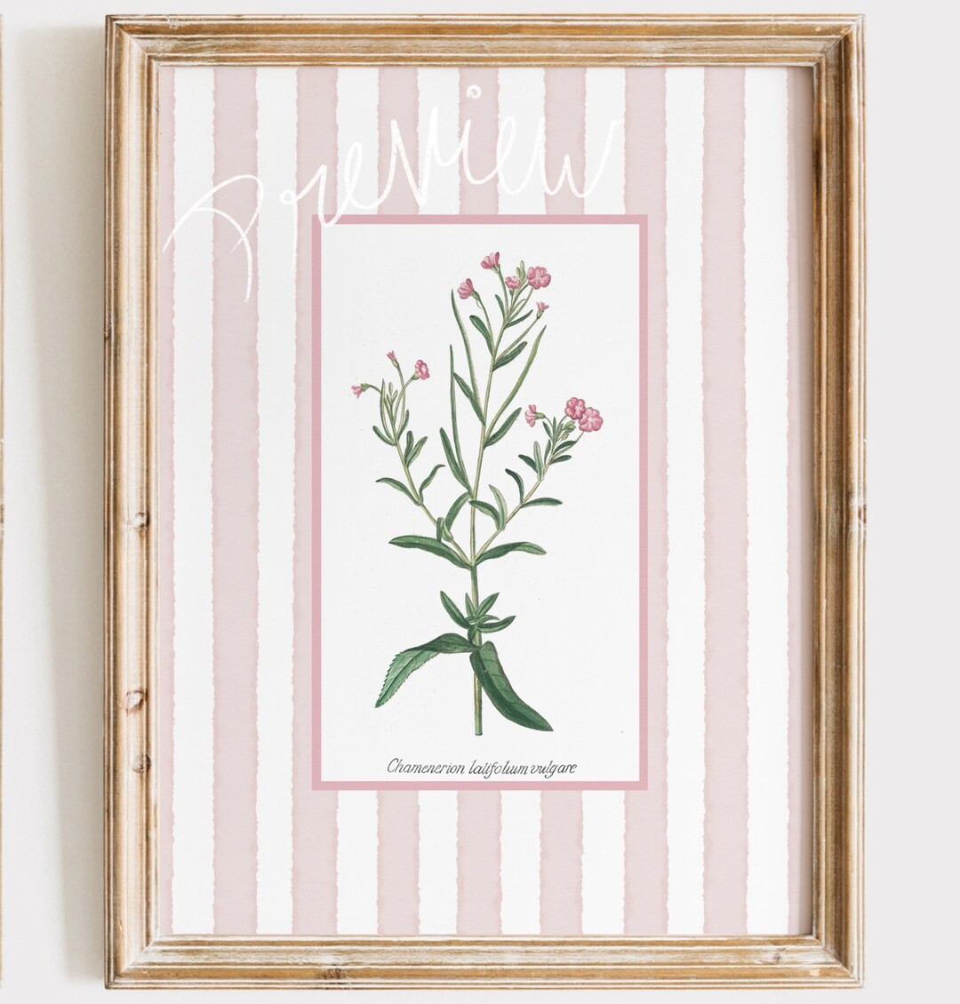 6 Light Pink Striped Floral Art Prints, Baby Pink Grandmillenial Antique Botanical Prints, Nancy ... | Etsy (US)