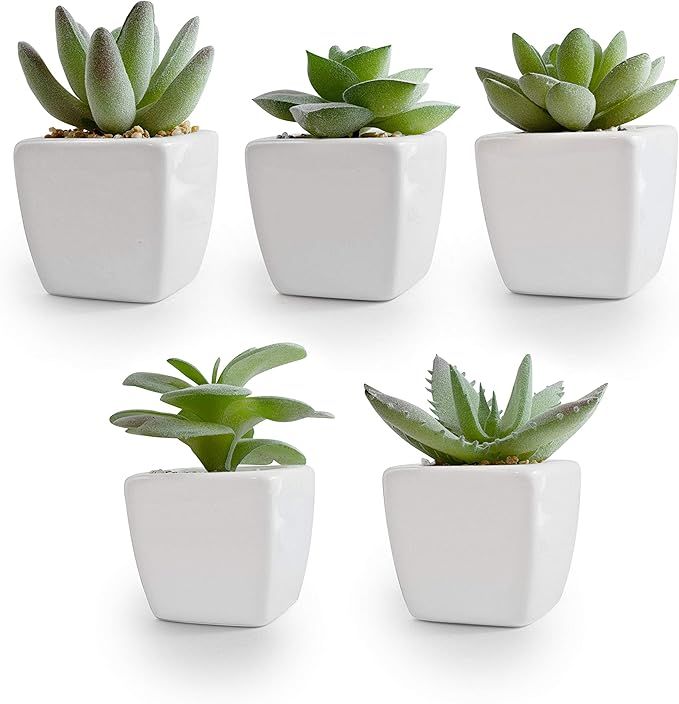 Korvea Set of 5 Artificial Succulent Plants in Ceramic Pots - Assorted Fake Succulents - Mini Suc... | Amazon (US)