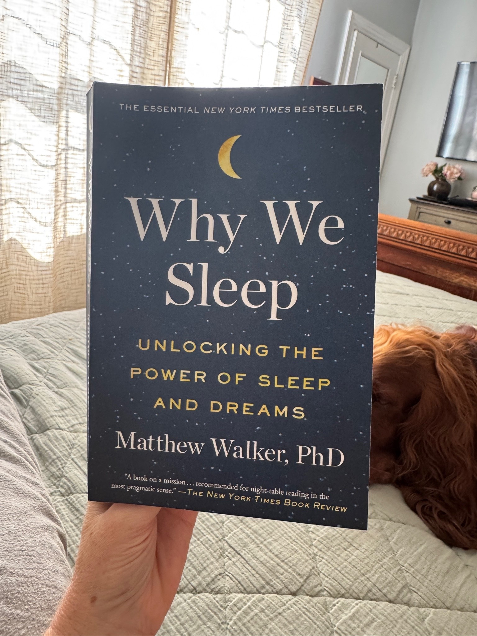 Sleep is so important- more important than even I realized! Excellent book so far on why we sleep and why we need sleep.

#LTKOver40 #LTKActive #LTKselfcare