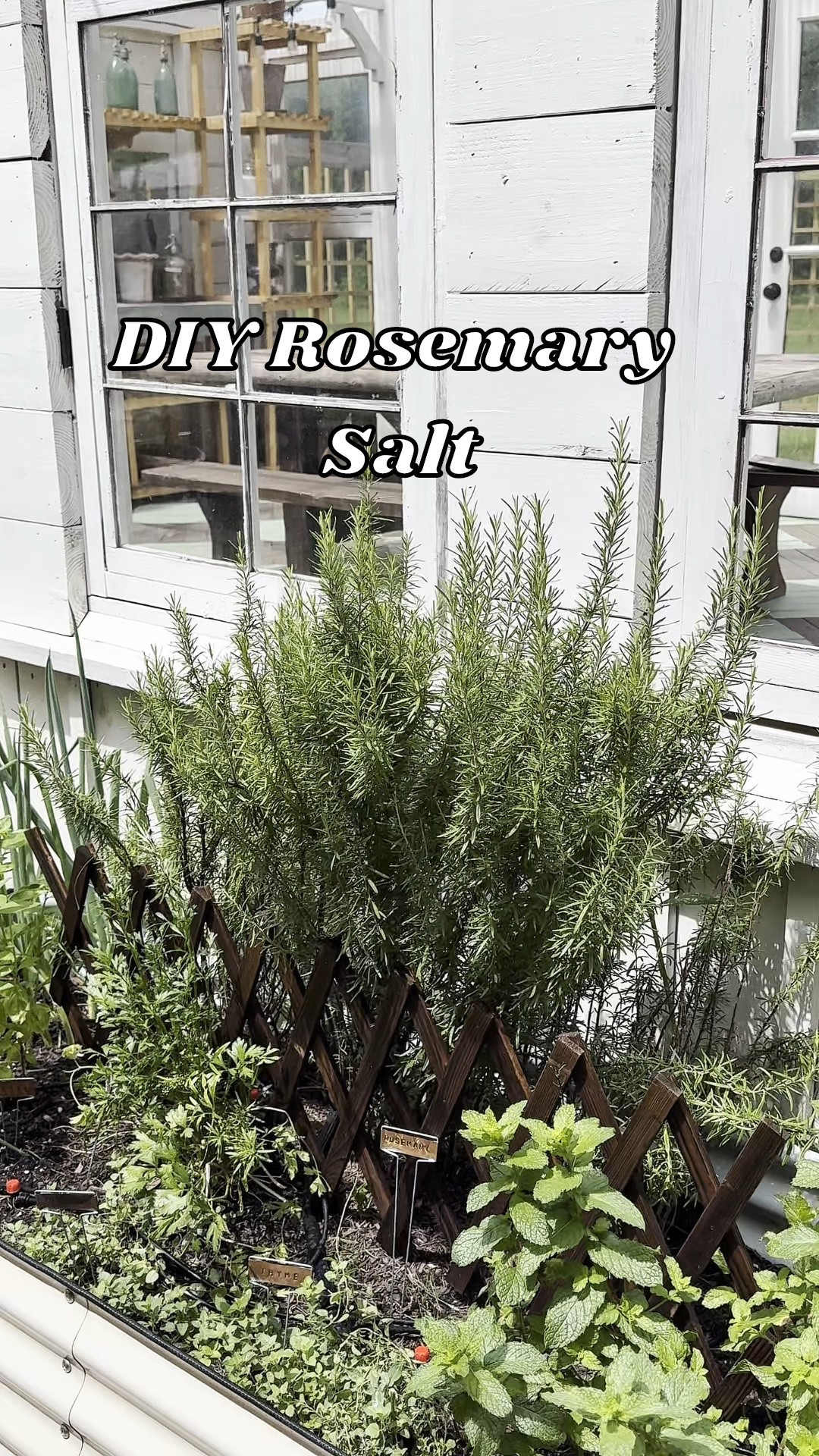DIY Rosemary Salt is perfect for Summer herbs and gifts! 

#LTKHome #LTKSummerEdit