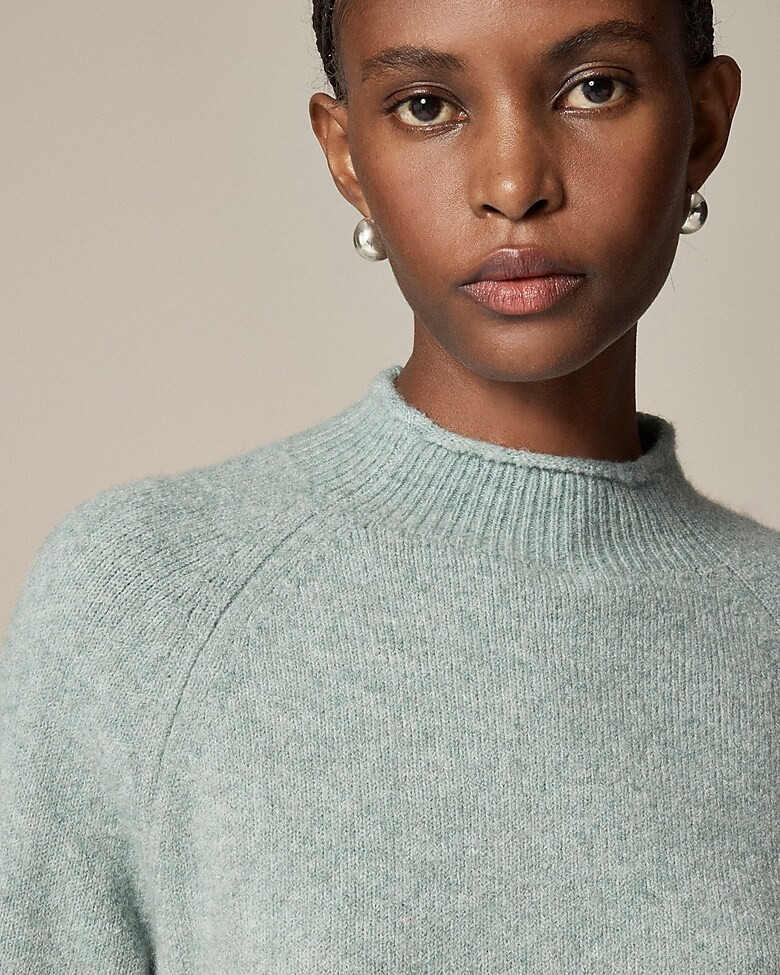 Rollneck™ sweater in Supersoft yarn | J. Crew US
