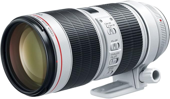 Canon EF 70-200mm f/2.8L IS III USM Lens for Canon Digital SLR Cameras, White - 3044C002 | Amazon (US)