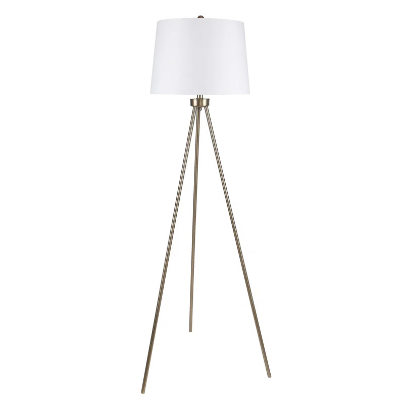 Guenther 62" Tripod Floor Lamp | Wayfair Professional