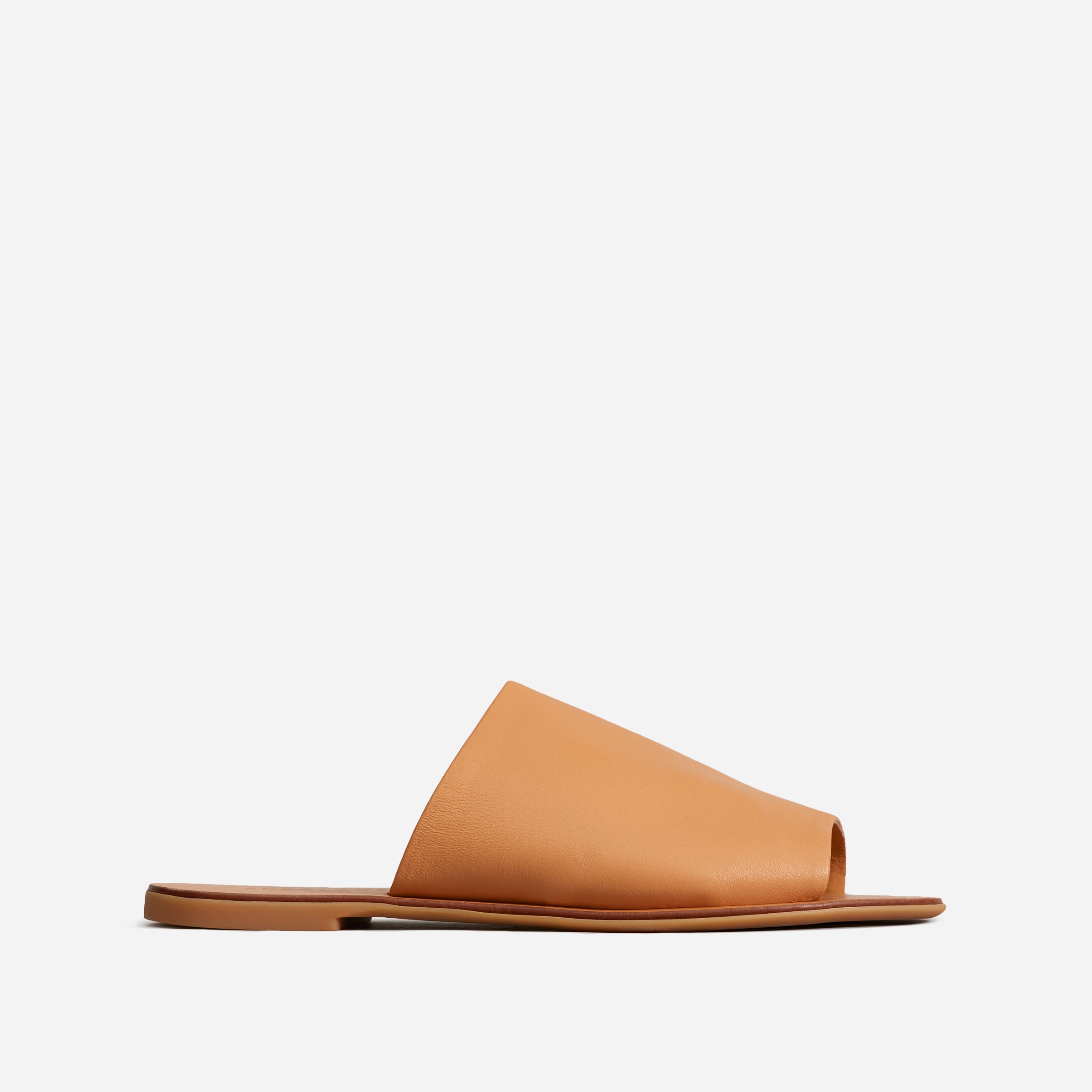 The Day Slide Sandal | Everlane