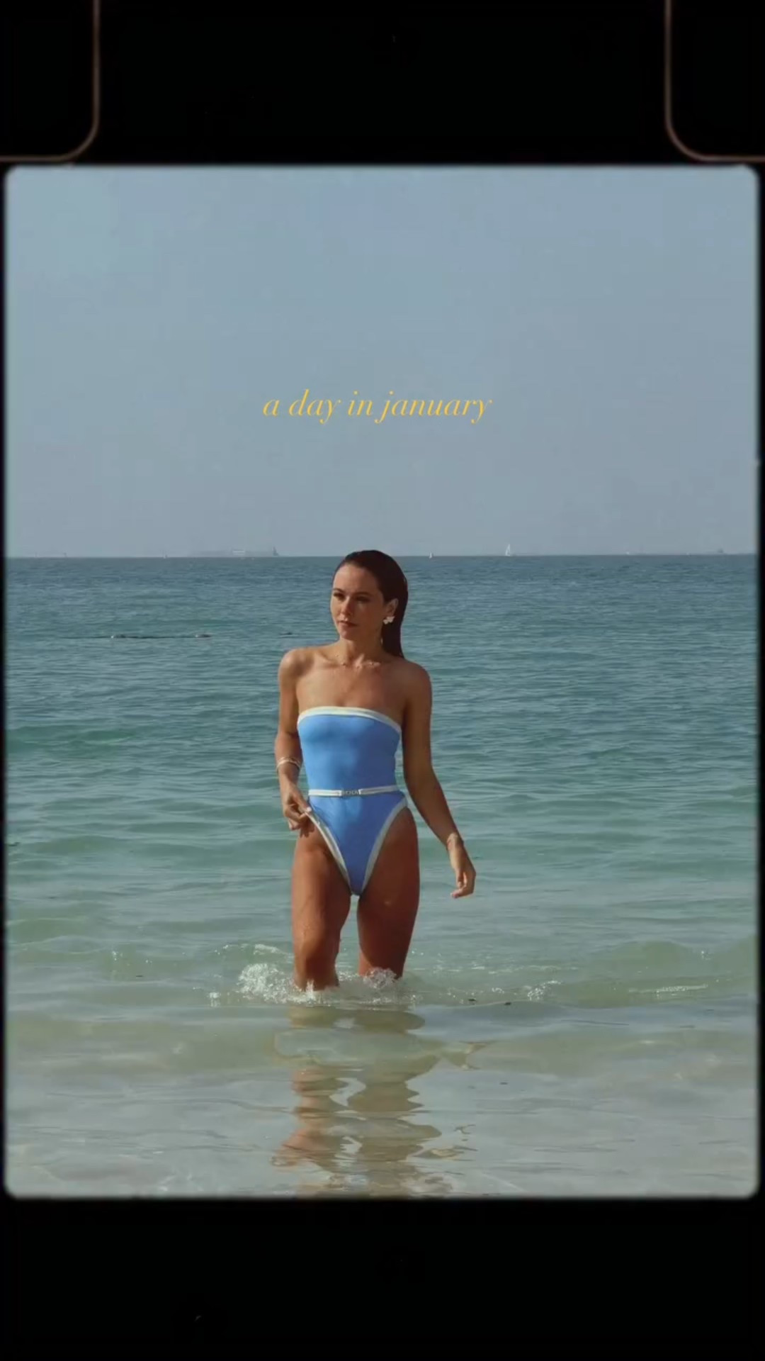 🥥🐚