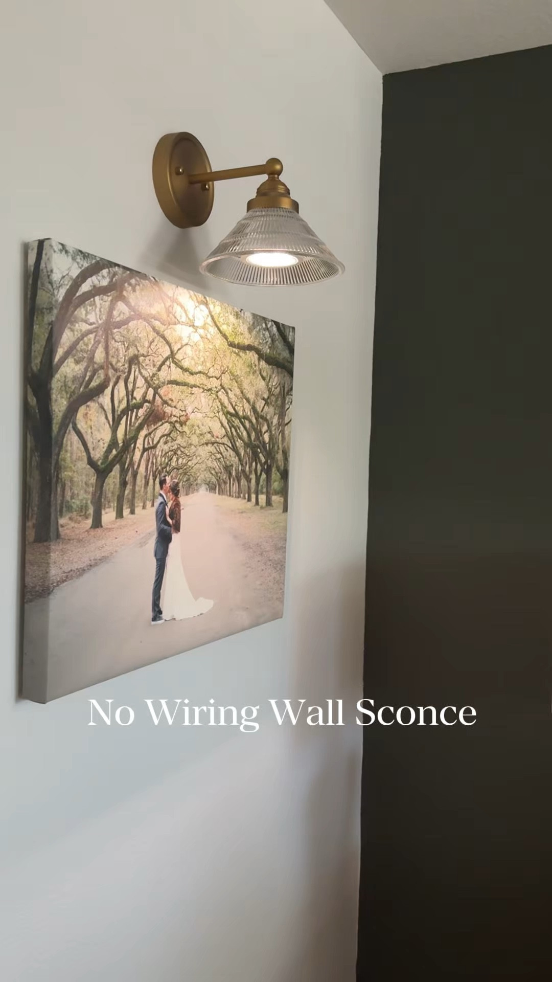 I wanted something to highlight our wedding photo without dealing with wiring… but I also didn’t want anything that looked cheap or too casual for this space.

This wireless sconce ended up being the perfect find. It has a matte gold finish with a glass shade, so it feels elevated and works really well with the wood tones and darker brass we already have in our bedroom.

It mounts right to the wall, uses a battery bulb, and you can change the lighting with a remote (warm, natural, or cooler tones).

One of those small upgrades that makes a space feel way more finished without a big expense.

I linked the exact sconce with bulb here if you’re adding lighting anywhere without wiring.

#LTKWedding #LTKHome