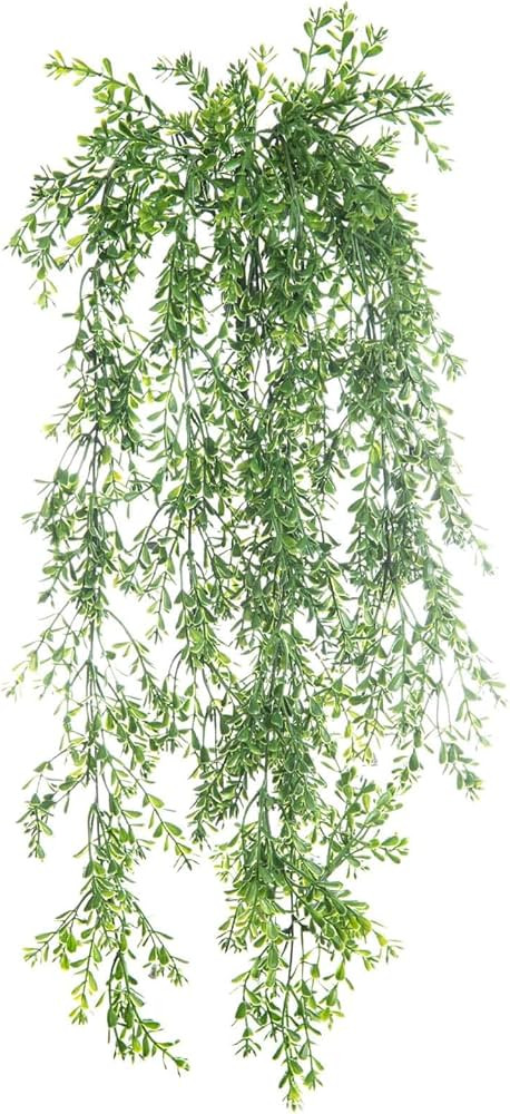 Green Boxwood Bush by Ashland® | Amazon (US)
