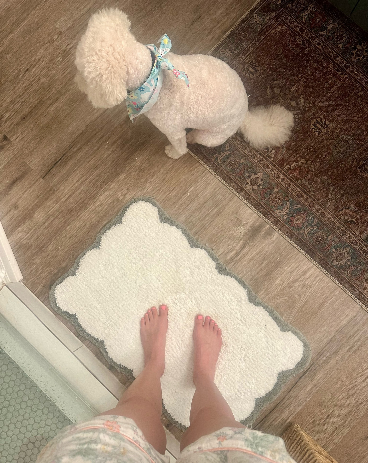 #DUPE scalloped bath mat! 

#LTKHome #LTKFindsUnder50 #LTKGiftGuide