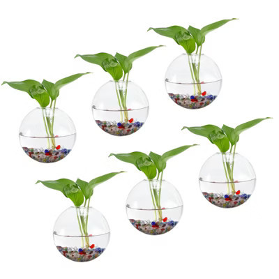 Unique Bargains Glass Wall-Mounted Hydroponic Indoor Decorative Tray Transparent 6 Pcs | Target
